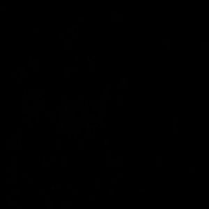 Meet your Posher, Day